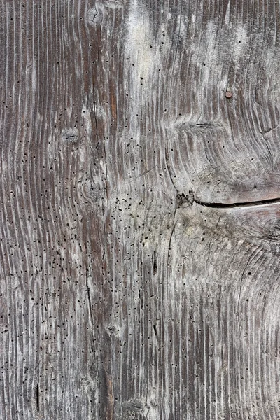 La texture de vieux bois avec des motifs naturels — Photo