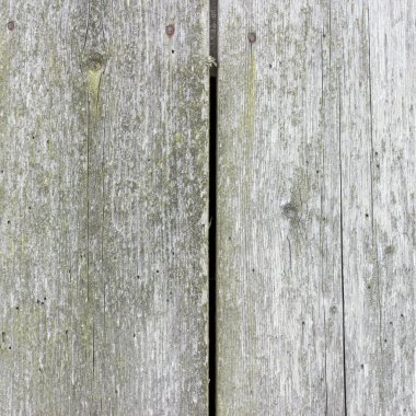 Doğal desenli eski ahşap doku.