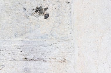 Background of white stone wall texture photo