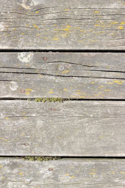 Doğal desenli eski ahşap doku.