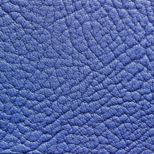 Blue leather texture or background — Stock Photo, Image