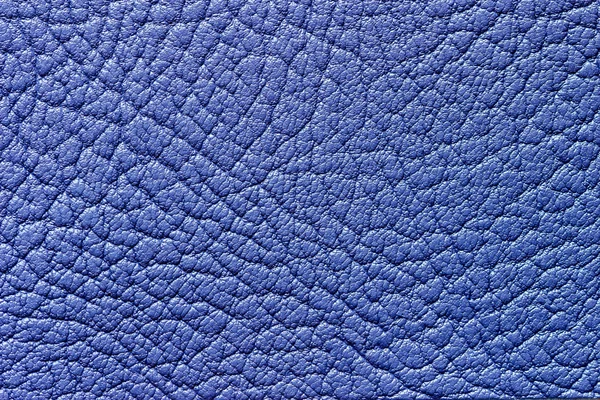 Blue leather texture or background — Stock Photo, Image