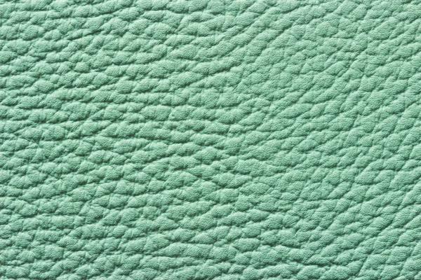 Texture o sfondo in pelle verde — Foto Stock