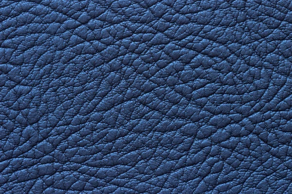 Textura o fondo de cuero azul —  Fotos de Stock