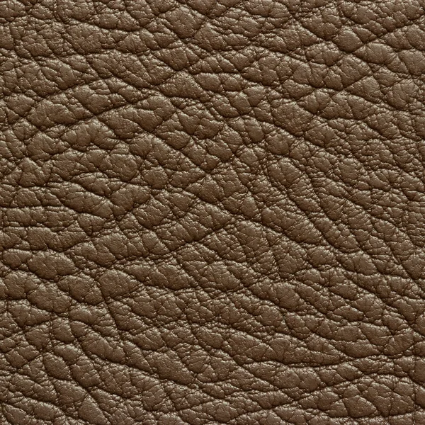 Brown leather texture or background — Stock Photo, Image