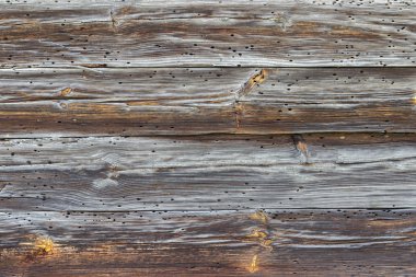 Doğal desenli eski ahşap doku.