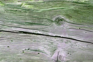 Doğal desenli eski ahşap doku.