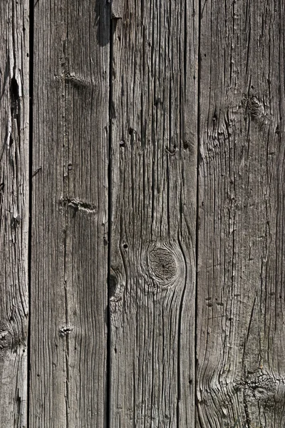 La texture de vieux bois avec des motifs naturels — Photo