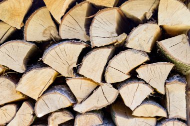 Kışa hazır odun yığını