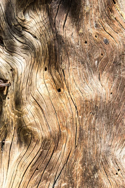 La texture de vieux bois avec des motifs naturels — Photo