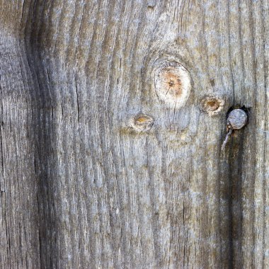 Doğal desenli eski ahşap doku.