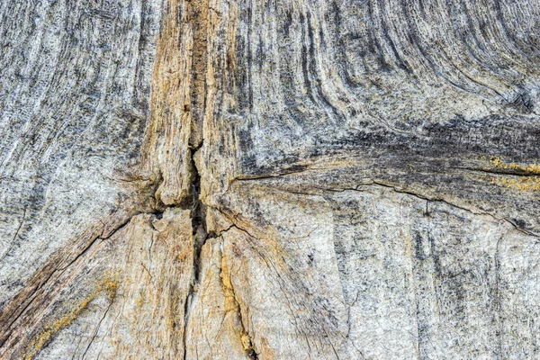 La texture de vieux bois avec des motifs naturels — Photo