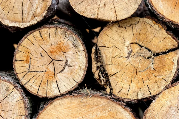 Kışa hazır odun yığını