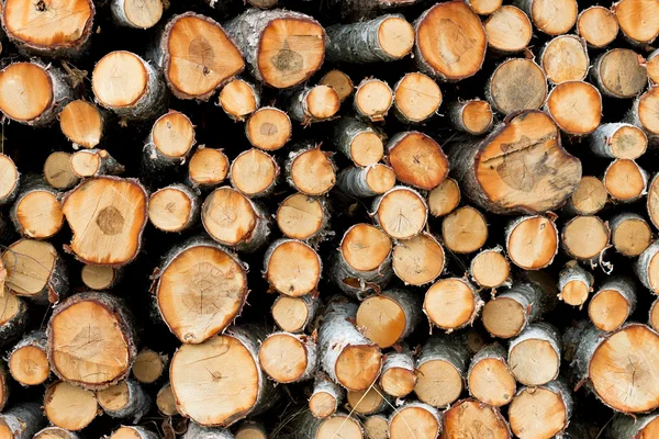 Téli fából készült rönkök — Stock Fotó