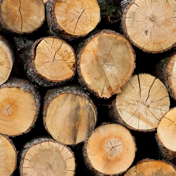 Kışa hazır odun yığını