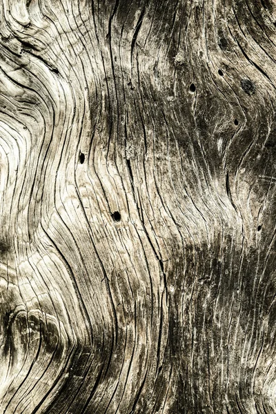 La texture de vieux bois avec des motifs naturels — Photo