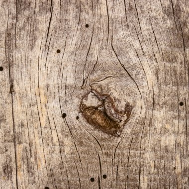 Doğal desenli eski ahşap doku.