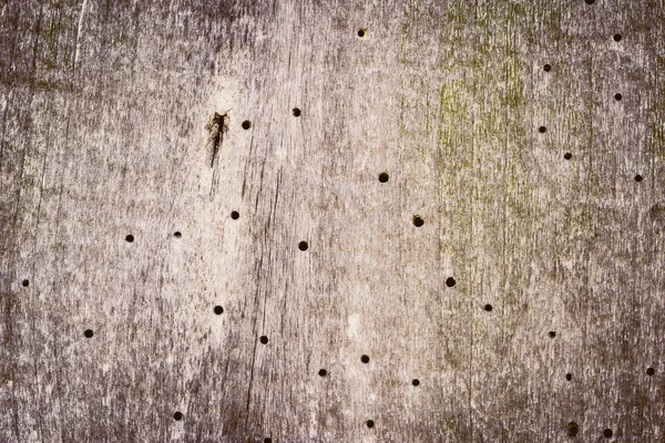 La vecchia struttura in legno con motivi naturali — Foto Stock