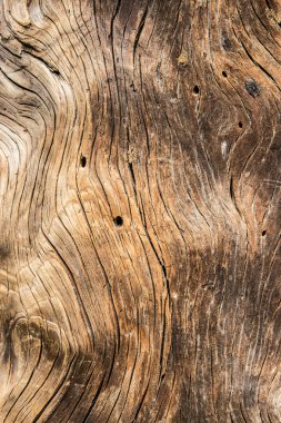 Doğal desenli eski ahşap doku.