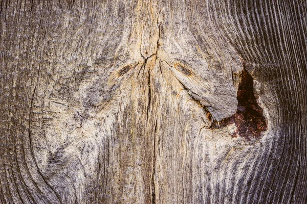 La texture de vieux bois avec des motifs naturels — Photo