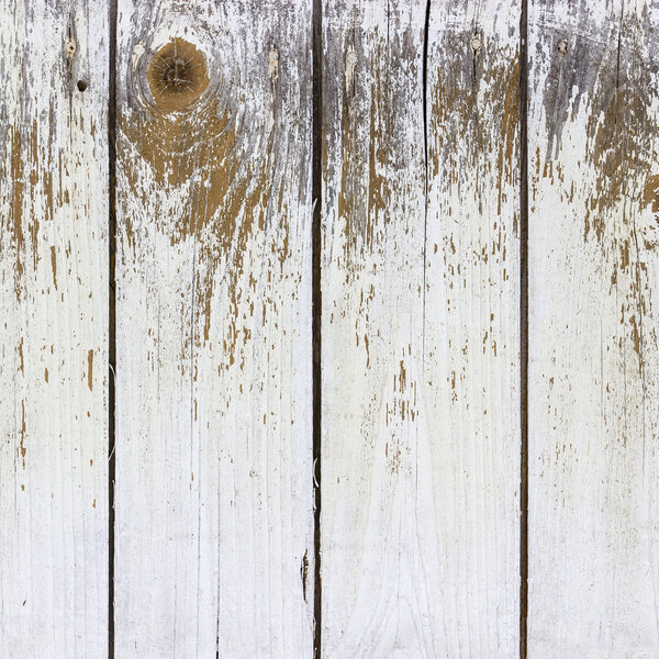 The white wood texture with natural patterns background