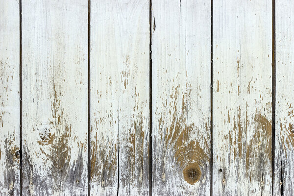 The white wood texture with natural patterns background