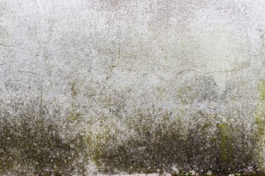 Eski grunge dokuları arka planda. Boşluğu olan mükemmel arkaplan.