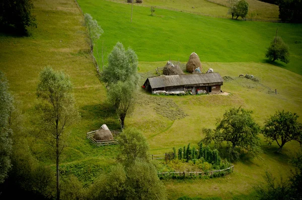 집과 나무와 아름 다운 농촌 녹색 언덕 — 스톡 사진
