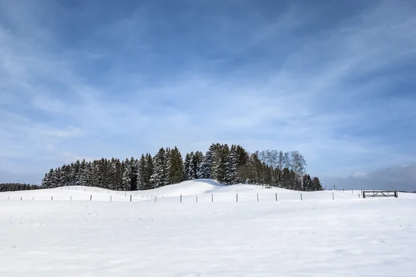 ババリアのドイツの冬の景色 — ストック写真