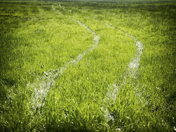 Huellas de neumáticos en un prado — Foto de Stock