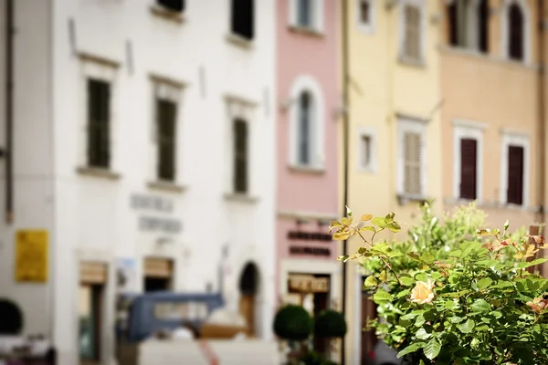 Bloemen met wazig huizen — Stockfoto