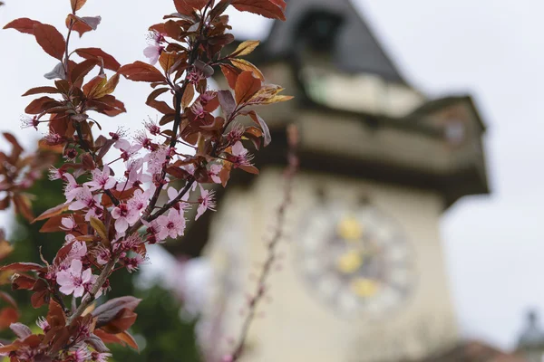 Reloj Torre Graz Austria — Foto de Stock
