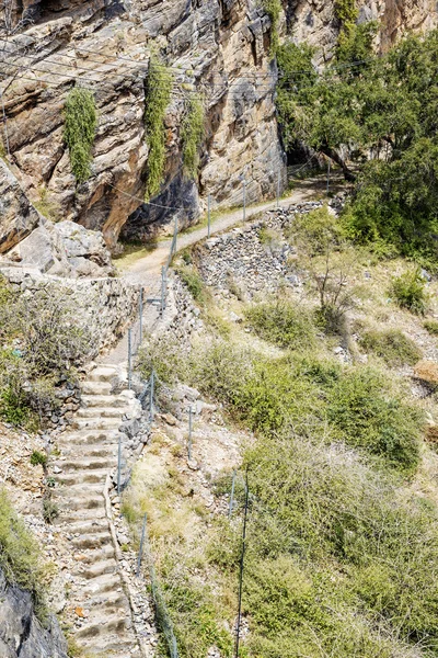 Oman path Saiq Plateau — Stock Photo, Image