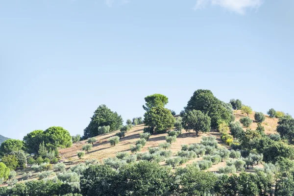 Vackra landskap Toscana — Stockfoto