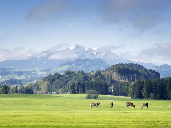 Mountains in Bavaria — Stock Photo, Image