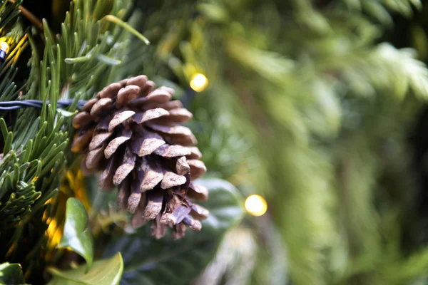 Dekorasyon çam kozalağı Noel pazarı — Stok fotoğraf