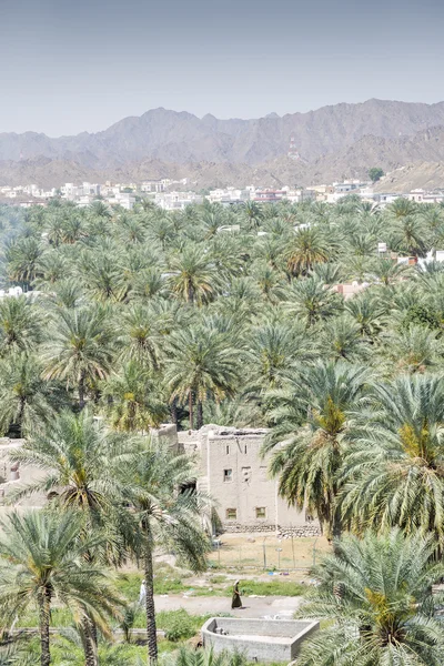 Uitzicht vanaf fort Nizwa — Stockfoto