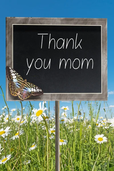 Chalkboard with text Thank you mom — Stock Photo, Image