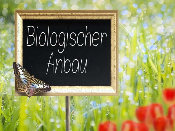 Svarta tavlan med tysk text Biologischer Anbau — Stockfoto