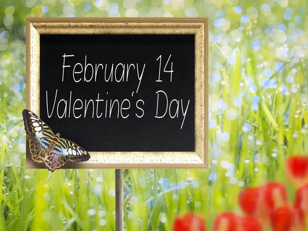 Chalkboard with text February 14 Valentines Day — Stock Photo, Image