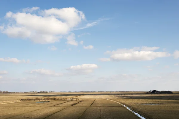 Champs et fossés dans le nord de l'Allemagne — Photo