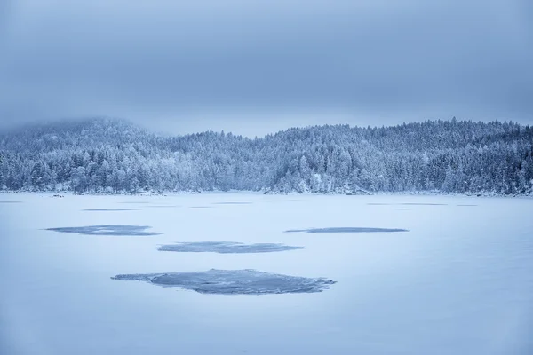 Bos en lake Eibsee met sneeuw Bavaria — Stockfoto