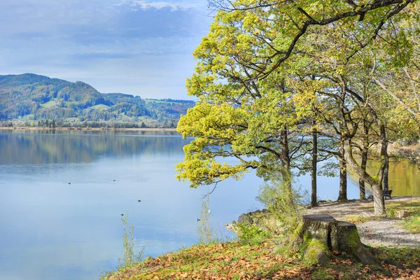 Park przy jeziora Kochelsee — Zdjęcie stockowe