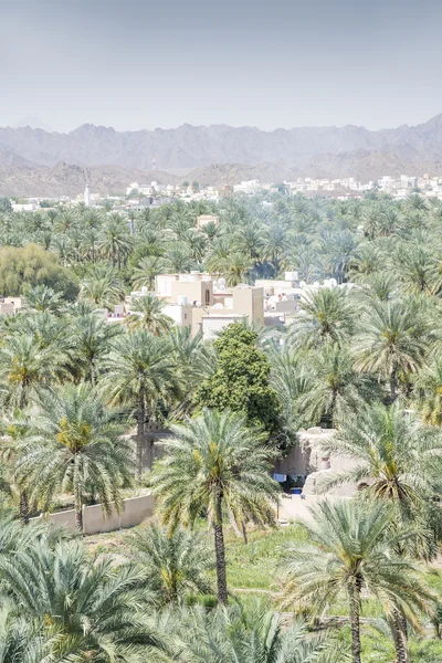 Uitzicht vanaf fort Nizwa — Stockfoto