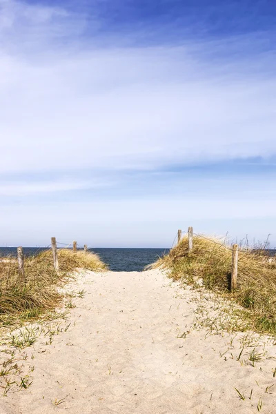 Sandy path through dunes — Stock Photo, Image