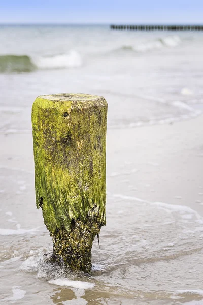 Vågbrytaren pole Östersjön — Stockfoto