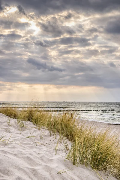 Coast of Baltic Sea with dark clouds — Stock Photo, Image