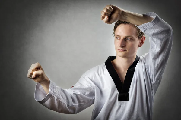 Taekwon Do Master – stockfoto