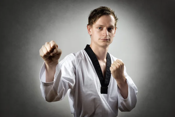 Taekwon Do Master – stockfoto