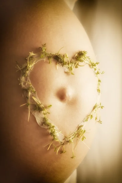 Cress heart on baby bump — Stock Photo, Image